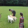 20160625_153153